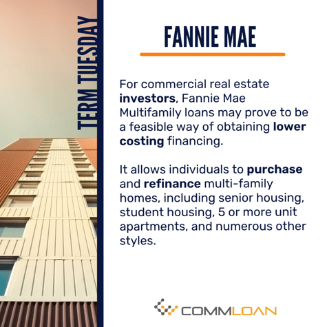 Fannie Mae Definition